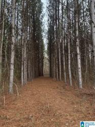 0 County Road 15 1 Maplesville, AL 36750