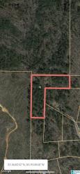 0 Wells Road 1 Alexander City, AL 35072