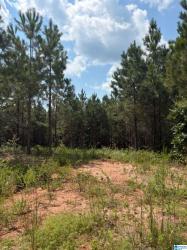 County Road 472 2 Clanton, AL 35046