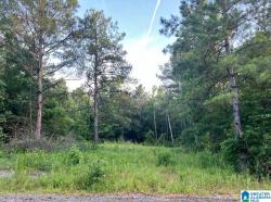 59 County Road 976 1 Jemison, AL 35085
