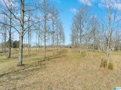 Thorsby- Convenient to everything: school, park, baseball fields! Room to build 1+ homes