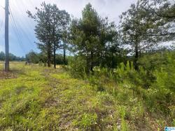 0 County Road 349 0 Maplesville, AL 36750