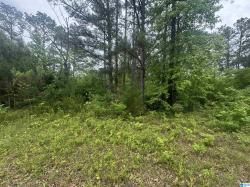 0 County Road 42 0 Jemison, AL 35085