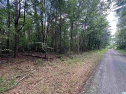 0 County Road 3051 1 Double Springs, AL 35553