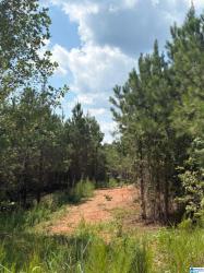 County Road 472 3 Clanton, AL 35046