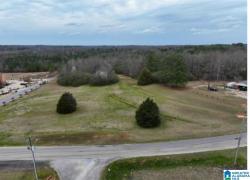 0 County Road 490 Clanton, AL 35046