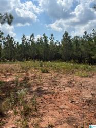 County Road 472 1 Clanton, AL 35046