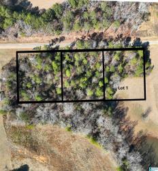 0 Old West Road Lot 2 Thorsby, AL 35171
