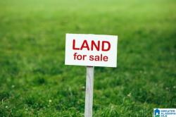 0 County Road 878 0 Clanton, AL 35045