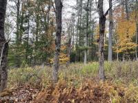 L47.2 Mallon Road Minerva, NY 12857