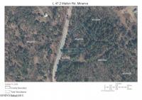 L47.2 Mallon Road Minerva, NY 12857