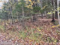 L47.2 Mallon Road Minerva, NY 12857