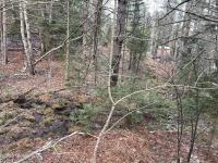 804 Harrisburg Rd Stony Creek, NY 12878