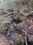 804 Harrisburg Rd Stony Creek, NY 12878