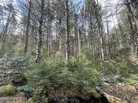 804 Harrisburg Rd Stony Creek, NY 12878