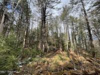 804 Harrisburg Rd Stony Creek, NY 12878