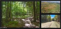 98 Carriage Knoll Road Chester, NY 12817