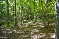 98 Carriage Knoll Road Chester, NY 12817