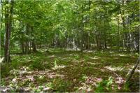 98 Carriage Knoll Road Chester, NY 12817