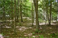 98 Carriage Knoll Road Chester, NY 12817