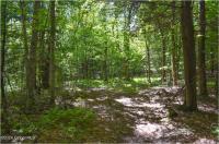 98 Carriage Knoll Road Chester, NY 12817