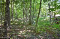 98 Carriage Knoll Road Chester, NY 12817