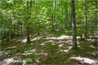 98 Carriage Knoll Road Chester, NY 12817