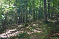 98 Carriage Knoll Road Chester, NY 12817