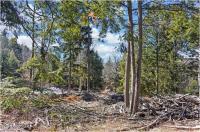 L17 Mountain Meadows Road Horicon, NY 12860