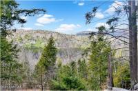 L17 Mountain Meadows Road Horicon, NY 12860