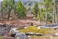 L17 Mountain Meadows Road Horicon, NY 12860