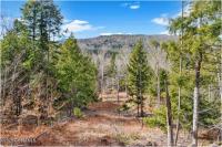 L17 Mountain Meadows Road Horicon, NY 12860