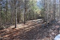 L17 Mountain Meadows Road Horicon, NY 12860