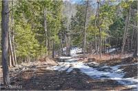 L17 Mountain Meadows Road Horicon, NY 12860