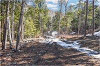 L17 Mountain Meadows Road Horicon, NY 12860