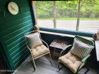 243 Trout Brook Road Minerva, NY 12857