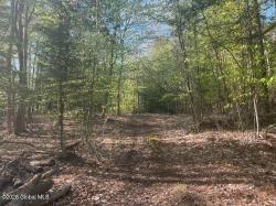 L12 Adirondack Heights Road Lot #6 Chester, NY 12817