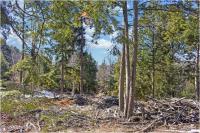 L16 Mountain Meadows Road Horicon, NY 12860
