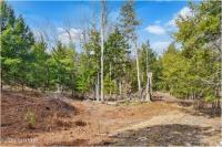 L16 Mountain Meadows Road Horicon, NY 12860