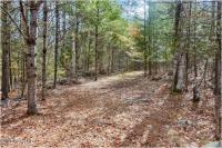 L16 Mountain Meadows Road Horicon, NY 12860