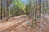 L16 Mountain Meadows Road Horicon, NY 12860