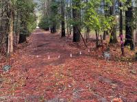 170 E Shore Drive Horicon, NY 12808
