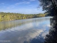 170 E Shore Drive Horicon, NY 12808