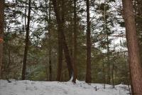 22 Carriage Road Chester, NY 12817