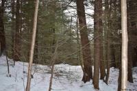 22 Carriage Road Chester, NY 12817
