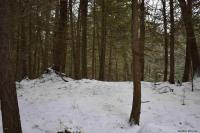22 Carriage Road Chester, NY 12817