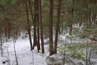 22 Carriage Road Chester, NY 12817