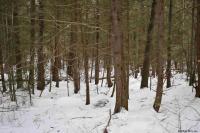 22 Carriage Road Chester, NY 12817