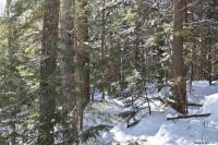 22 Carriage Road Chester, NY 12817