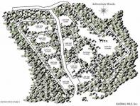 22 Carriage Road Chester, NY 12817